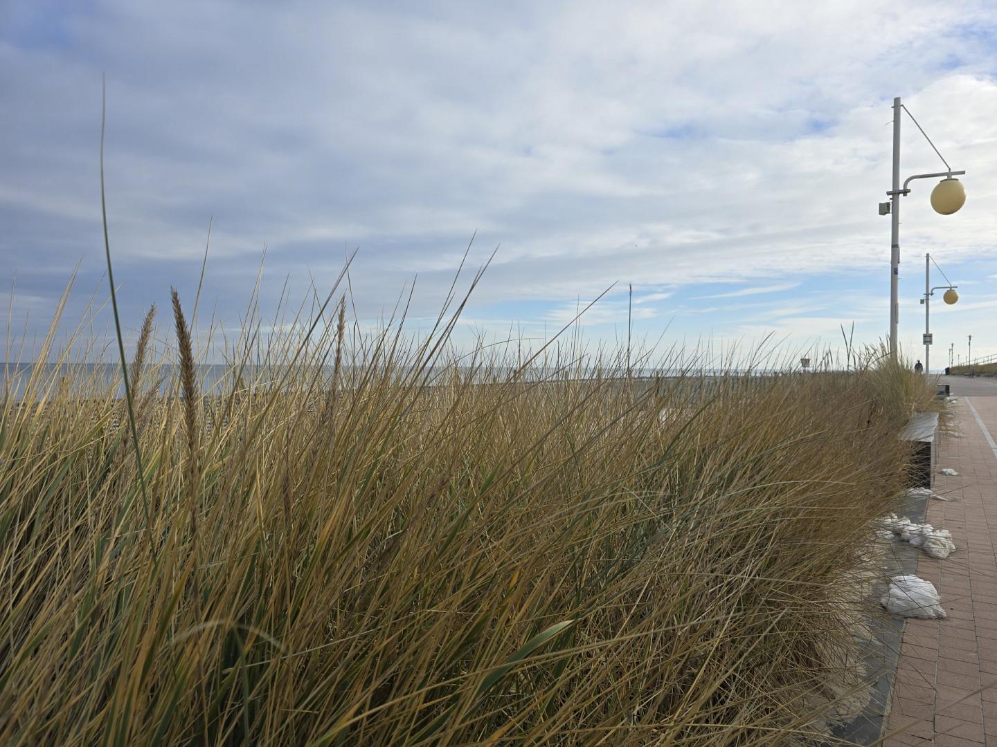 meerundpfote.de - Header 3